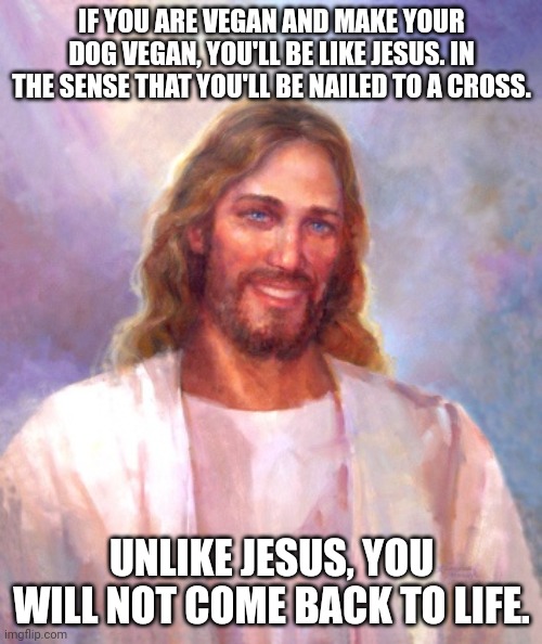 Smiling Jesus Meme | IF YOU ARE VEGAN AND MAKE YOUR DOG VEGAN, YOU'LL BE LIKE JESUS. IN THE SENSE THAT YOU'LL BE NAILED TO A CROSS. UNLIKE JESUS, YOU WILL NOT COME BACK TO LIFE. | image tagged in memes,smiling jesus | made w/ Imgflip meme maker