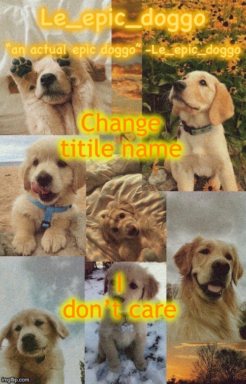 Ok Ok | Change titile name; I don’t care | image tagged in doggo temp by doggo wait what that s confusing | made w/ Imgflip meme maker