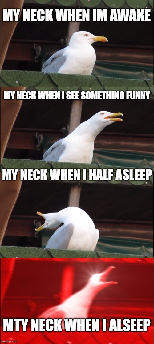 Inhaling Seagull | MY NECK WHEN IM AWAKE; MY NECK WHEN I SEE SOMETHING FUNNY; MY NECK WHEN I HALF ASLEEP; MTY NECK WHEN I ALSEEP | image tagged in memes,inhaling seagull | made w/ Imgflip meme maker