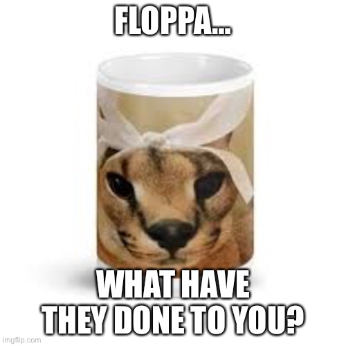 Floppa |  FLOPPA…; WHAT HAVE THEY DONE TO YOU? | image tagged in oh no,floppa,excuse me what the heck | made w/ Imgflip meme maker