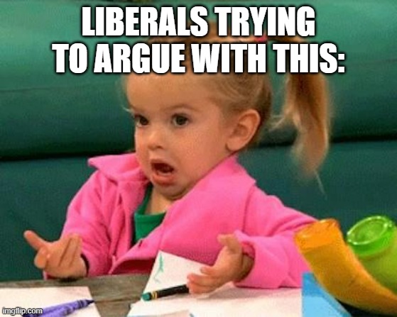 I don't know (Good Luck Charlie) | LIBERALS TRYING TO ARGUE WITH THIS: | image tagged in i don't know good luck charlie | made w/ Imgflip meme maker