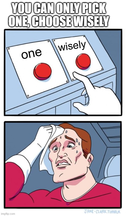 -visibly concerned |  YOU CAN ONLY PICK ONE, CHOOSE WISELY; wisely; one | image tagged in blank white template,memes,two buttons | made w/ Imgflip meme maker