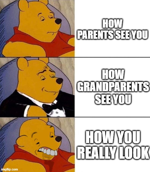 Best,Better, Blurst | HOW PARENTS SEE YOU; HOW GRANDPARENTS SEE YOU; HOW YOU REALLY LOOK | image tagged in best better blurst | made w/ Imgflip meme maker