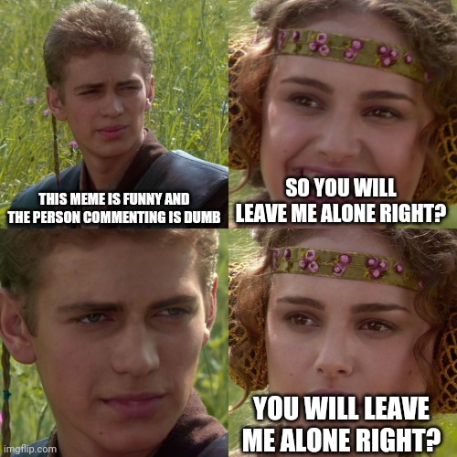 Anakin Padme 4 Panel | THIS MEME IS FUNNY AND THE PERSON COMMENTING IS DUMB; SO YOU WILL LEAVE ME ALONE RIGHT? YOU WILL LEAVE ME ALONE RIGHT? | image tagged in anakin padme 4 panel,funny,lonely | made w/ Imgflip meme maker
