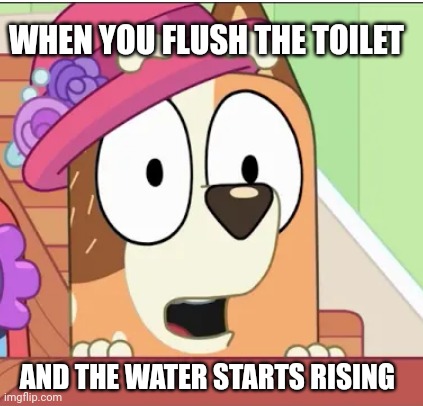 Toilet uh oh | WHEN YOU FLUSH THE TOILET; AND THE WATER STARTS RISING | image tagged in toilets | made w/ Imgflip meme maker