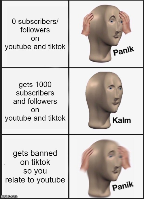 youtube and tiktok | 0 subscribers/ followers on youtube and tiktok; gets 1000 subscribers and followers on youtube and tiktok; gets banned on tiktok so you relate to youtube | image tagged in memes,panik kalm panik,tiktok,youtube,subscribe,followers | made w/ Imgflip meme maker