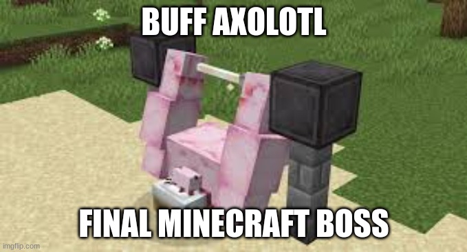 buff axolotl slays all | BUFF AXOLOTL; FINAL MINECRAFT BOSS | image tagged in minecraft | made w/ Imgflip meme maker