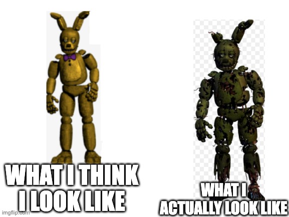  WHAT I THINK I LOOK LIKE; WHAT I ACTUALLY LOOK LIKE | image tagged in funny memes,fnaf 3,bonnie | made w/ Imgflip meme maker