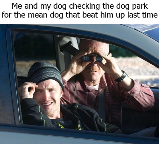 Me and my dog checking the dog park for the mean dog that beat him up last time | image tagged in taco bell | made w/ Imgflip meme maker