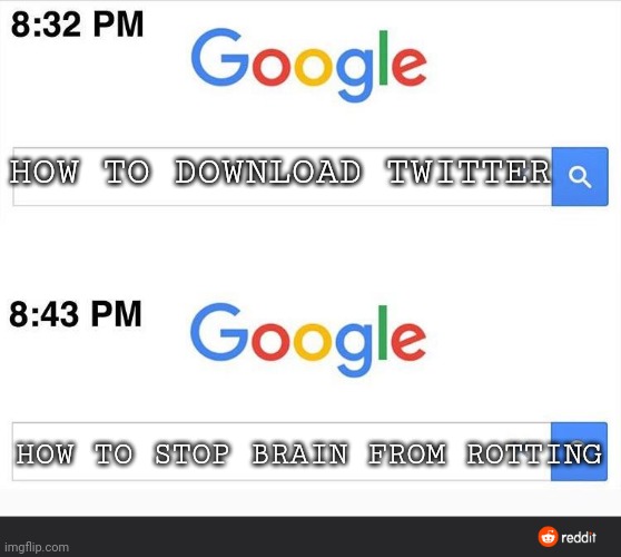 Twitter rots the brain | HOW TO DOWNLOAD TWITTER; HOW TO STOP BRAIN FROM ROTTING | image tagged in 8 32 google search,twitter,twitter birds says,carrots | made w/ Imgflip meme maker