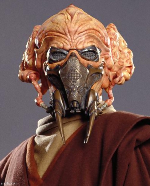 Plo Koon quarantine | image tagged in plo koon quarantine | made w/ Imgflip meme maker