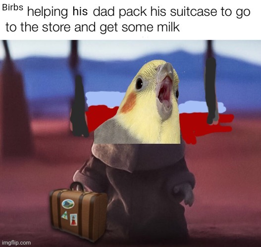 Why do you need all this stuff just to drive up the corner store, Dad? | image tagged in dad,went to get milk,birb,but why | made w/ Imgflip meme maker