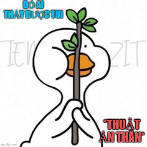 ĐỐ AI THẤY ĐƯỢC TUI; *THUẬT ẨN THÂN* | made w/ Imgflip meme maker