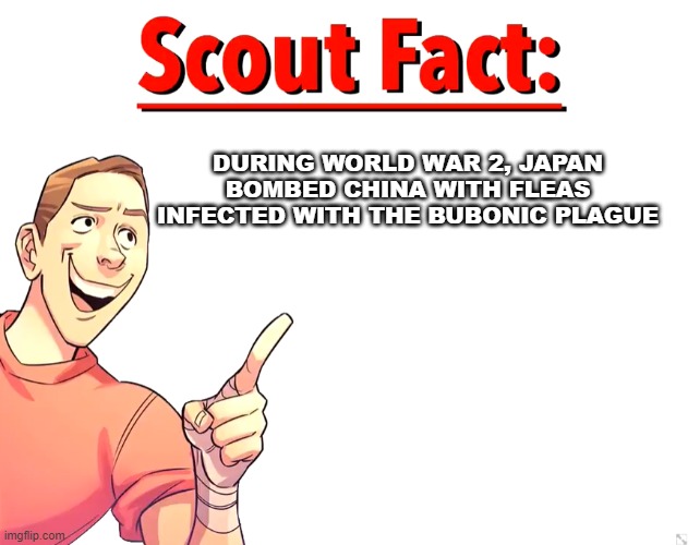 Scout Fact | DURING WORLD WAR 2, JAPAN BOMBED CHINA WITH FLEAS INFECTED WITH THE BUBONIC PLAGUE | image tagged in scout fact | made w/ Imgflip meme maker