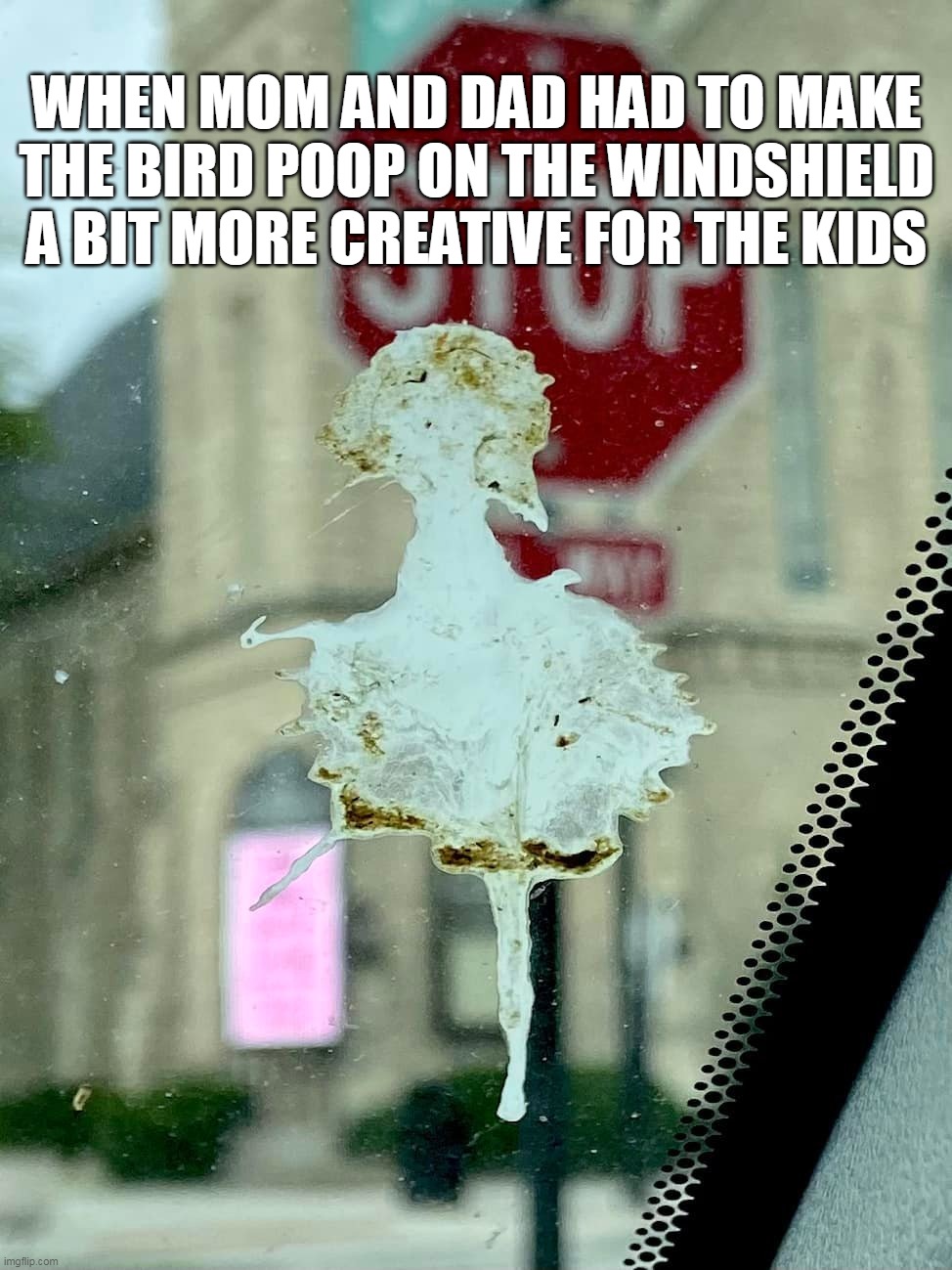 Disgusting and Adorable at the Same Time | WHEN MOM AND DAD HAD TO MAKE THE BIRD POOP ON THE WINDSHIELD A BIT MORE CREATIVE FOR THE KIDS | image tagged in meme,memes,humor,big bird | made w/ Imgflip meme maker