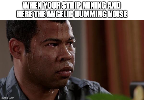 it scares me every time | WHEN YOUR STRIP MINING AND HERE THE ANGELIC HUMMING NOISE | image tagged in sweating bullets,funny,memes,fun,minecraft | made w/ Imgflip meme maker