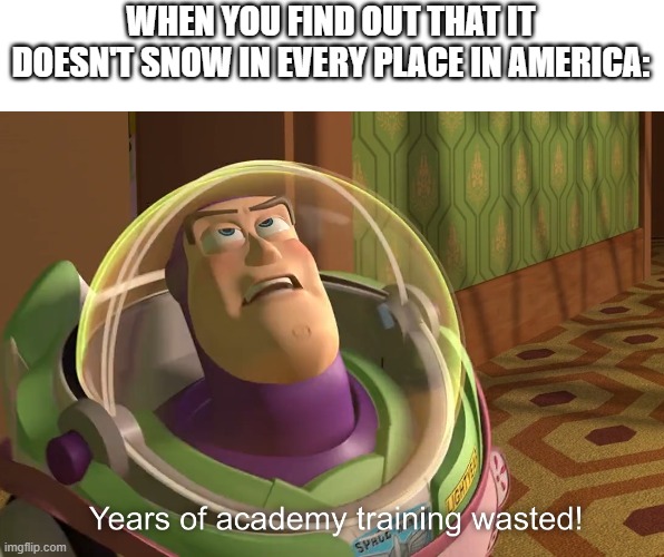 I used to think that it snowed in every state in the USA |  WHEN YOU FIND OUT THAT IT DOESN'T SNOW IN EVERY PLACE IN AMERICA: | image tagged in years of academy training wasted | made w/ Imgflip meme maker