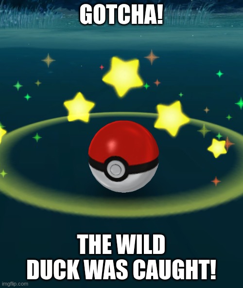 Pokeball | GOTCHA! THE WILD DUCK WAS CAUGHT! | image tagged in pokeball | made w/ Imgflip meme maker