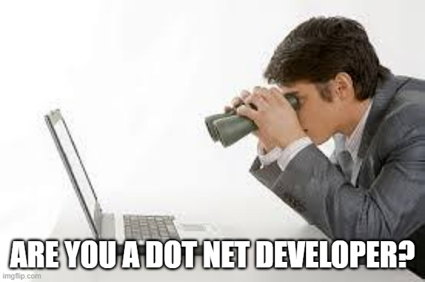 Searching Computer |  ARE YOU A DOT NET DEVELOPER? | image tagged in searching computer | made w/ Imgflip meme maker