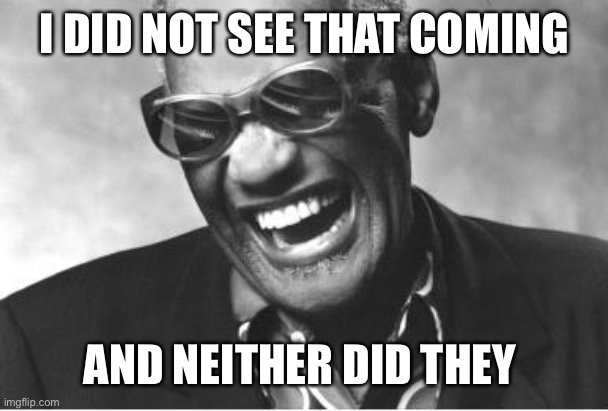 ray charles dumb bitch | I DID NOT SEE THAT COMING AND NEITHER DID THEY | image tagged in ray charles dumb bitch | made w/ Imgflip meme maker