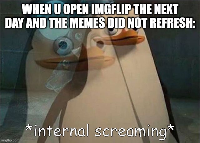 Internal screaming | WHEN U OPEN IMGFLIP THE NEXT DAY AND THE MEMES DID NOT REFRESH: | image tagged in private internal screaming | made w/ Imgflip meme maker