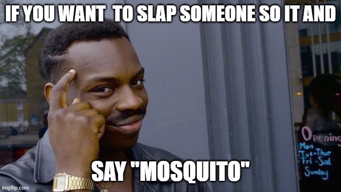 Roll Safe Think About It | IF YOU WANT  TO SLAP SOMEONE SO IT AND; SAY "MOSQUITO" | image tagged in memes,roll safe think about it | made w/ Imgflip meme maker