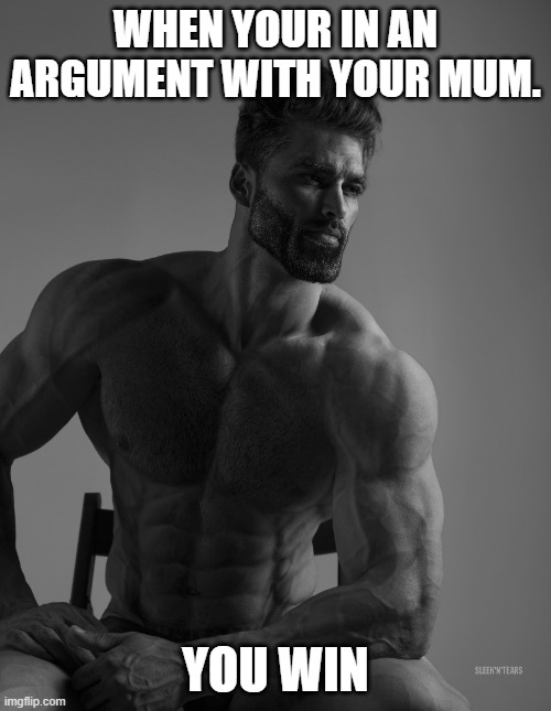 Giga Chad | WHEN YOUR IN AN ARGUMENT WITH YOUR MUM. YOU WIN | image tagged in giga chad | made w/ Imgflip meme maker