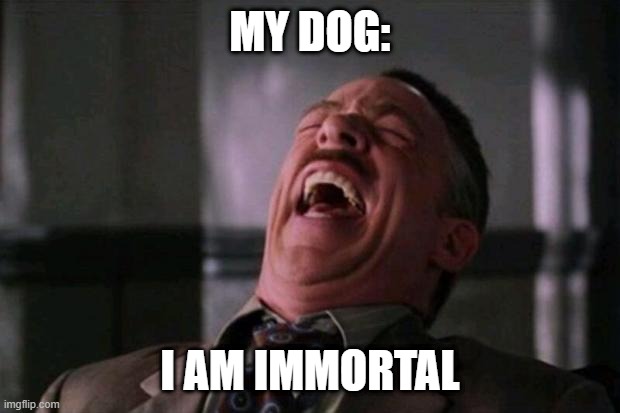 Spider Man boss | MY DOG: I AM IMMORTAL | image tagged in spider man boss | made w/ Imgflip meme maker