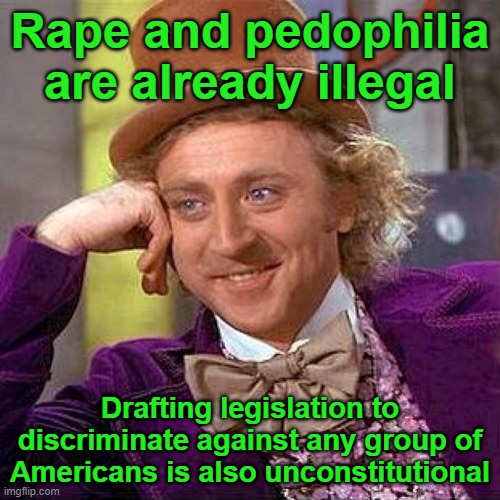 Just a reminder for the Constitutionalists making laws right now that have an obvious anti-lgbt agenda |  Rape and pedophilia are already illegal; Drafting legislation to discriminate against any group of Americans is also unconstitutional | image tagged in gay jim crow | made w/ Imgflip meme maker