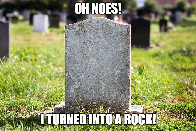 Death According to the Internet | OH NOES! I TURNED INTO A ROCK! | image tagged in memes,rip headstone,headstone,rock,death | made w/ Imgflip meme maker
