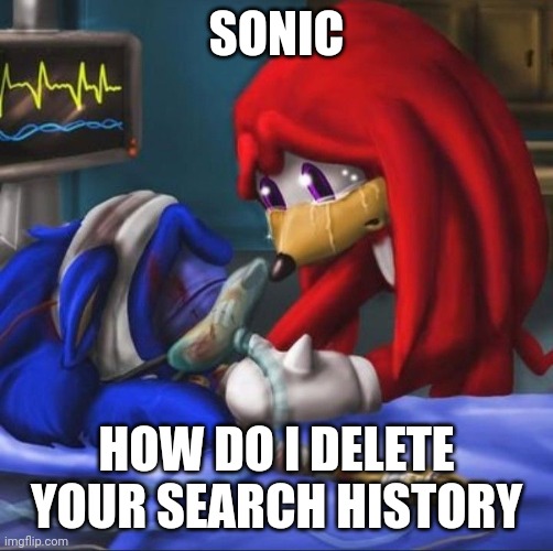 HOW SONIC | SONIC; HOW DO I DELETE YOUR SEARCH HISTORY | image tagged in how | made w/ Imgflip meme maker