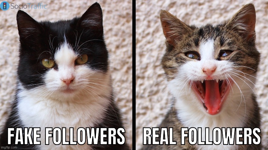 Real Followers is Happiness | image tagged in instagram,followers,likes | made w/ Imgflip meme maker