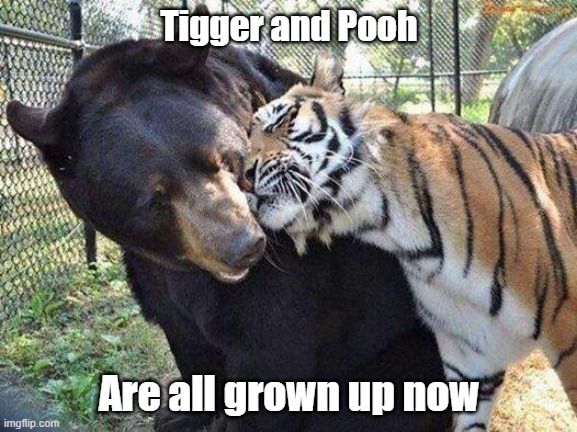 Tigger and Pooh are all grown up now× | Tigger and Pooh; Are all grown up now | image tagged in tigger,pooh | made w/ Imgflip meme maker
