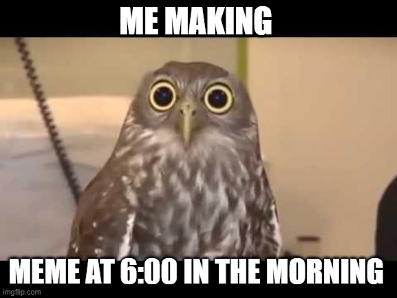 Late night at work | ME MAKING; MEME AT 6:00 IN THE MORNING | image tagged in late night at work,memes,meme,relatable | made w/ Imgflip meme maker