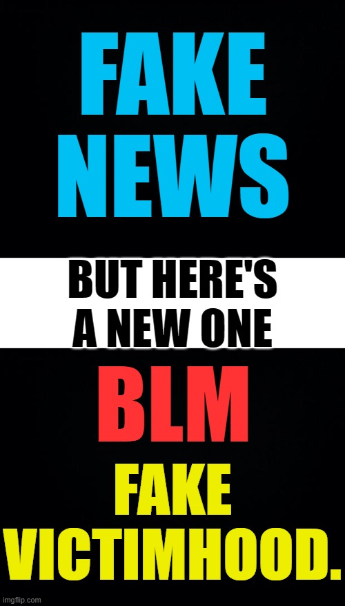 We've All Heard Of... | FAKE NEWS; BUT HERE'S A NEW ONE; BLM; FAKE VICTIMHOOD. | image tagged in memes,politics,fake news,blm,fake,victim | made w/ Imgflip meme maker