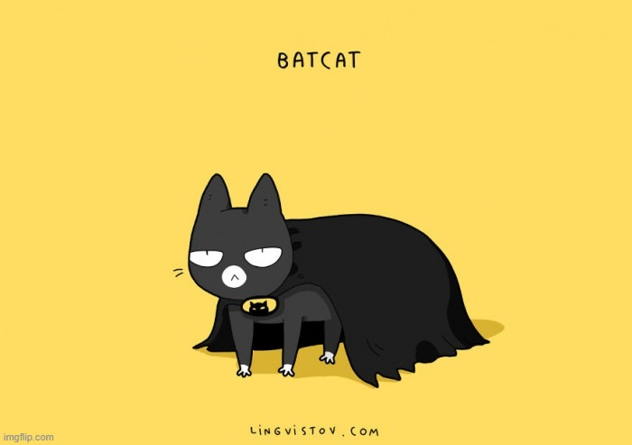 A Cat's way Of Thinking | image tagged in memes,comics,cats,look at me,bat,cat | made w/ Imgflip meme maker