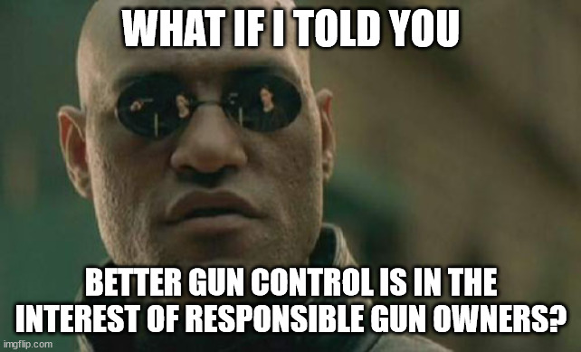 Matrix Morpheus | WHAT IF I TOLD YOU; BETTER GUN CONTROL IS IN THE INTEREST OF RESPONSIBLE GUN OWNERS? | image tagged in memes,matrix morpheus | made w/ Imgflip meme maker