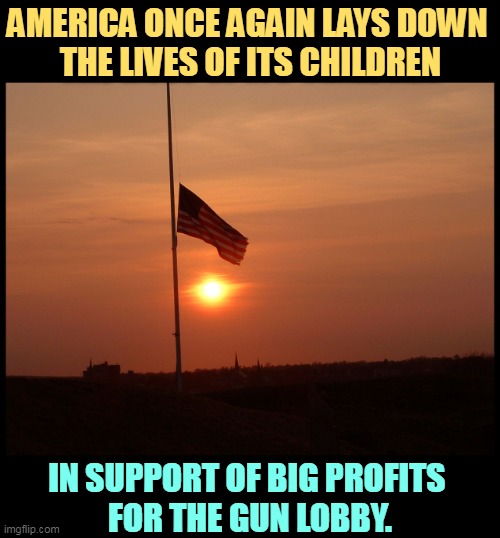 Second Amendment my @ss. It's about money. | AMERICA ONCE AGAIN LAYS DOWN 
THE LIVES OF ITS CHILDREN; IN SUPPORT OF BIG PROFITS 
FOR THE GUN LOBBY. | image tagged in half mast flag,dead,children,guns,second amendment | made w/ Imgflip meme maker