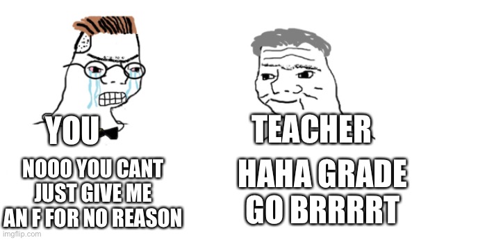 nooo haha go brrr | NOOO YOU CANT JUST GIVE ME AN F FOR NO REASON HAHA GRADE GO BRRRRT YOU TEACHER | image tagged in nooo haha go brrr | made w/ Imgflip meme maker