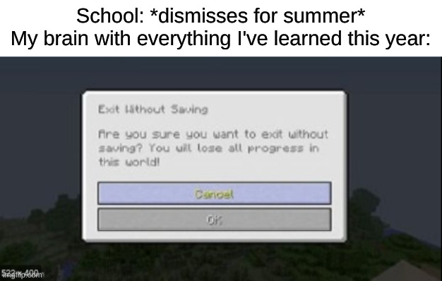 School: *dismisses for summer*
My brain with everything I've learned this year: | made w/ Imgflip meme maker