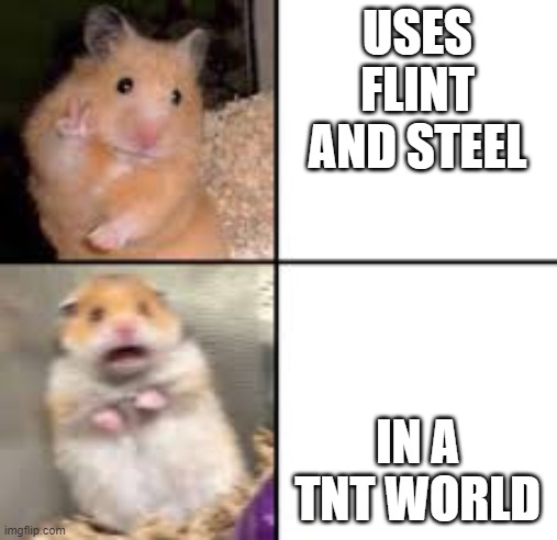 WTF | USES FLINT AND STEEL; IN A TNT WORLD | image tagged in scared hamster,minecraft | made w/ Imgflip meme maker