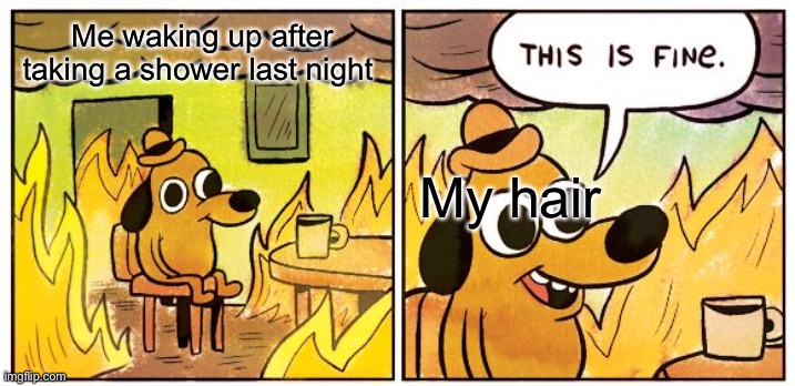 My hair!!!! | Me waking up after taking a shower last night; My hair | image tagged in memes,this is fine | made w/ Imgflip meme maker