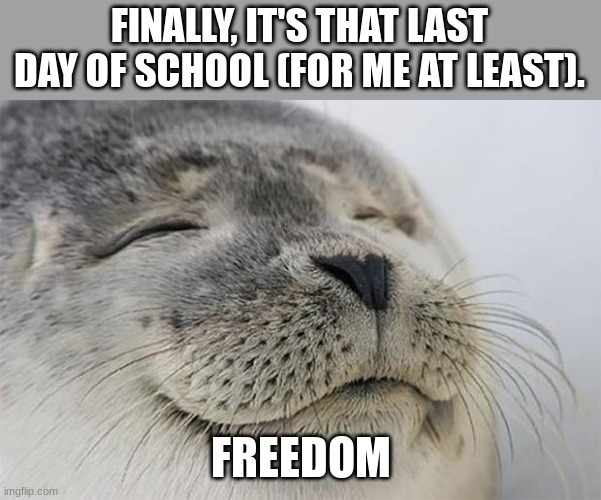 Freedom shall be mine at last | FINALLY, IT'S THAT LAST DAY OF SCHOOL (FOR ME AT LEAST). FREEDOM | image tagged in memes,satisfied seal,yes,its finally over | made w/ Imgflip meme maker