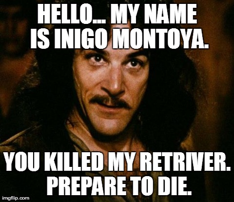 Inigo Montoya Meme | HELLO... MY NAME IS INIGO MONTOYA. YOU KILLED MY RETRIVER. PREPARE TO DIE. | image tagged in memes,inigo montoya | made w/ Imgflip meme maker