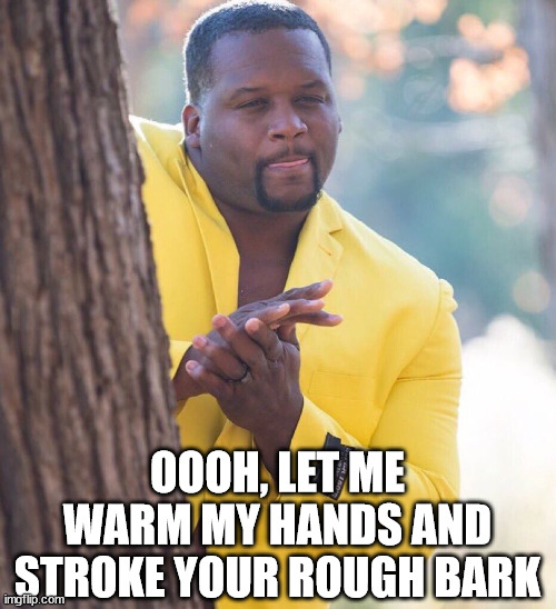 Black guy hiding behind tree | OOOH, LET ME WARM MY HANDS AND STROKE YOUR ROUGH BARK | image tagged in black guy hiding behind tree | made w/ Imgflip meme maker