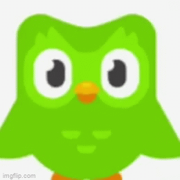 多邻国Duolingo 知乎