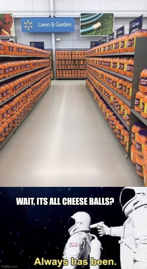  WAIT, ITS ALL CHEESE BALLS? | image tagged in you had one job,cheseballs | made w/ Imgflip meme maker