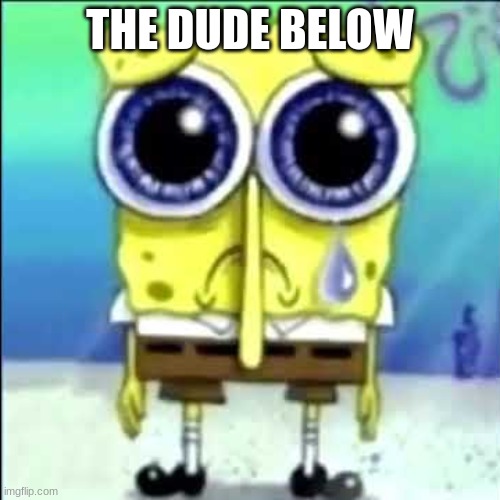 Sad Spongebob | THE DUDE BELOW | image tagged in sad spongebob | made w/ Imgflip meme maker
