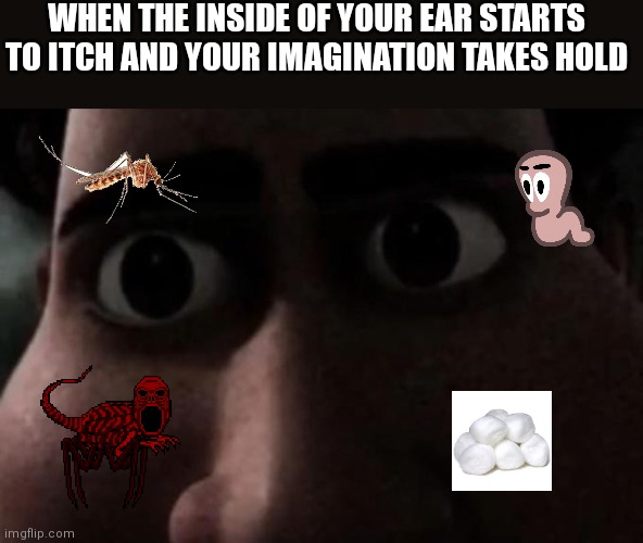 The Itch | WHEN THE INSIDE OF YOUR EAR STARTS TO ITCH AND YOUR IMAGINATION TAKES HOLD | image tagged in titan stare | made w/ Imgflip meme maker