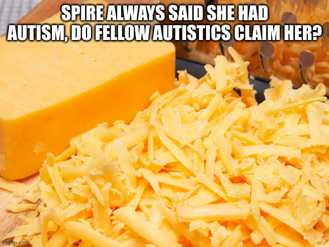 Cheese | SPIRE ALWAYS SAID SHE HAD AUTISM, DO FELLOW AUTISTICS CLAIM HER? | image tagged in cheese | made w/ Imgflip meme maker